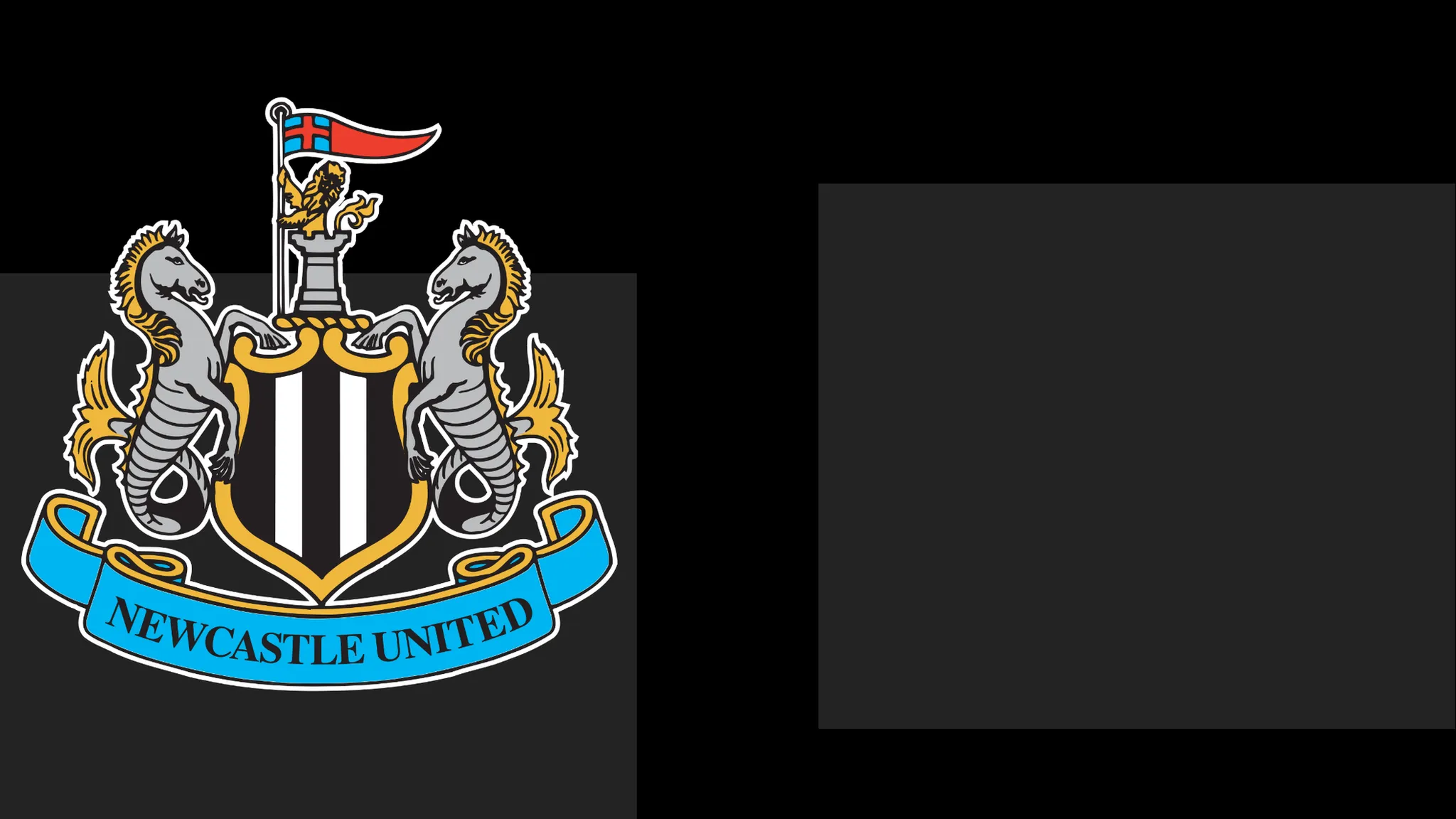 NUFC Issue Apology to Followers Following Ticket Issue
