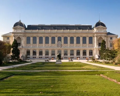 Priceless Gold Pieces Taken in Daring Heist at France's Natural History Museum